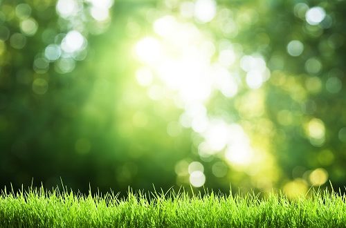 lyme disease symptoms