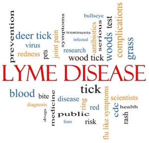 what is lyme disease