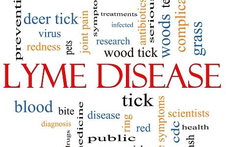 what is lyme disease