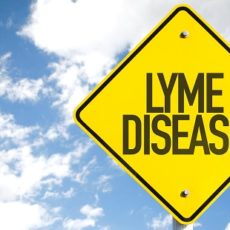 lyme disease symptoms