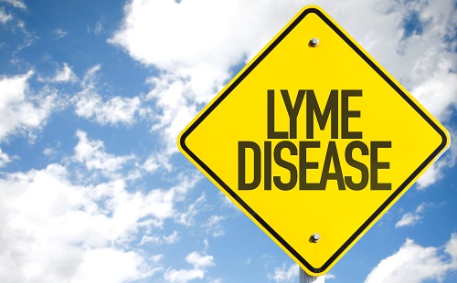 lyme disease symptoms