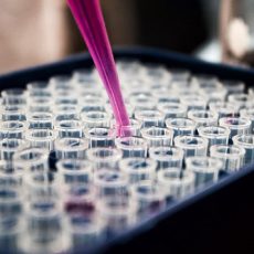 How Effective Are Lyme Disease Tests? Everything You Need To Know lymes disease test false negative